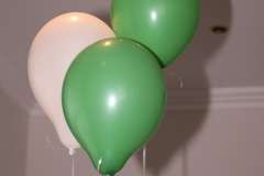 IMG_2582