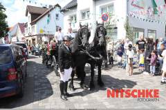 sonntag-119